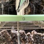 Green Hanger with White Hook